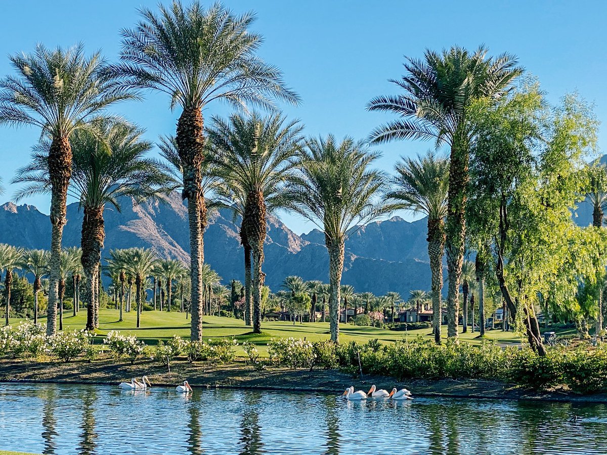 GolfObsessed's tweet photo. Had the chance to play @toscanacc today. What a gorgeous oasis in Palm Springs. Didn’t hurt that I shot a 79. 😊 https://t.co/3zsMsCW8JQ