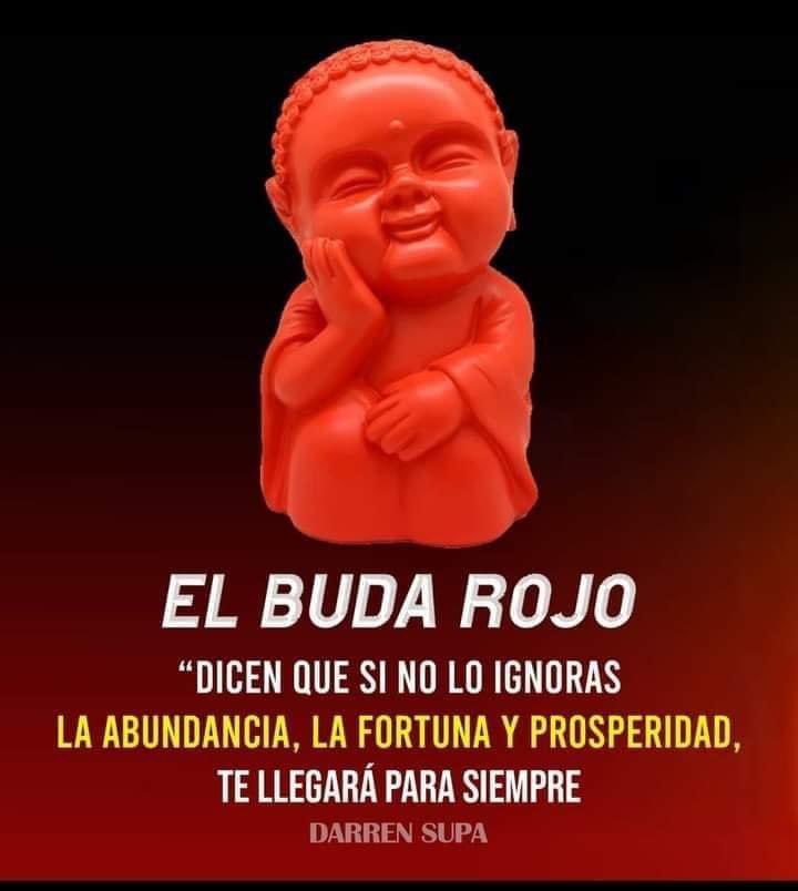 No estoy en condiciones de ignorarte budi budi