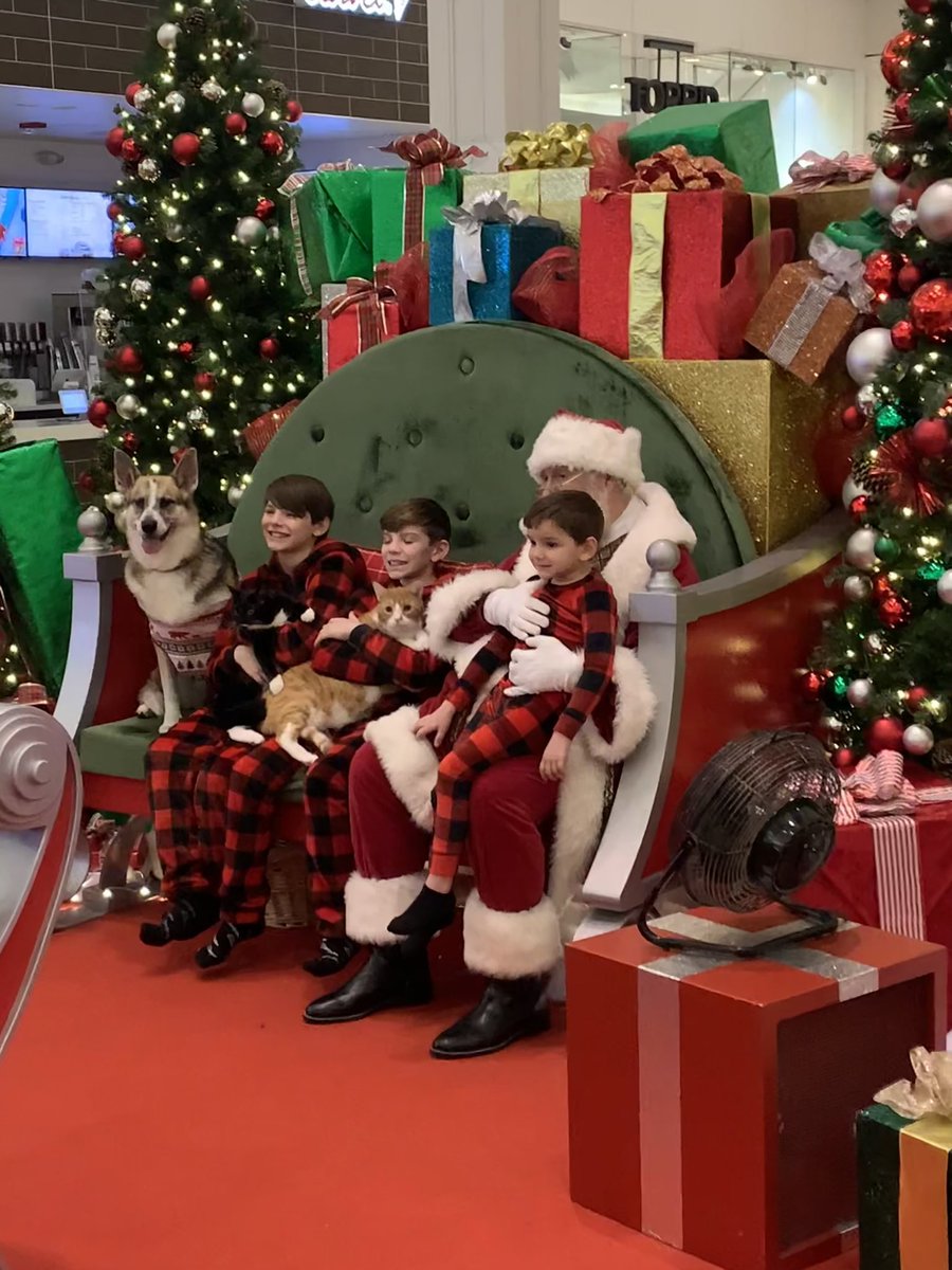 GreatNorthernOH's tweet photo. All pooches 🐶 and kittens 🐈‍⬛ we’re excited to see Santa 🎅 at Pet Photos with Santa 🎅 presented by @neorsd  

#neorsd #greatnorthernoh #santa #petphotoswithsanta  #pacificretail @PacificRetail https://t.co/AA30KaiD8w