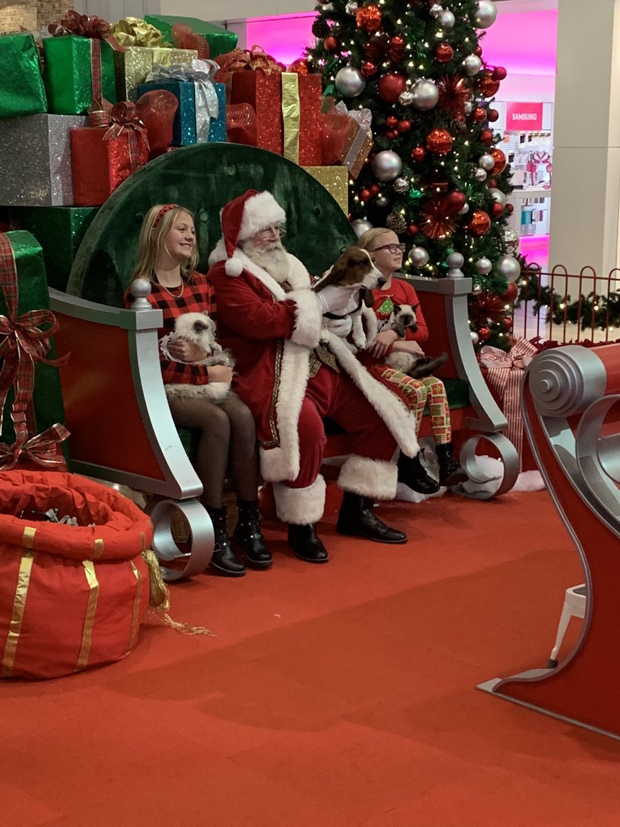GreatNorthernOH's tweet photo. All pooches 🐶 and kittens 🐈‍⬛ we’re excited to see Santa 🎅 at Pet Photos with Santa 🎅 presented by @neorsd  

#neorsd #greatnorthernoh #santa #petphotoswithsanta  #pacificretail @PacificRetail https://t.co/AA30KaiD8w