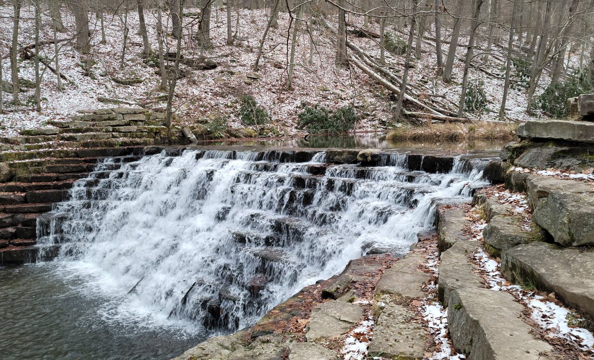 Bugroach (@bugroach2) on Twitter photo 