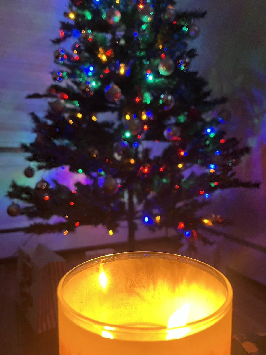 MarjorieReinoso's tweet photo. My first Christmas tree… ever! #FinallyAdulting 🎄 https://t.co/cdFnfX2E8K