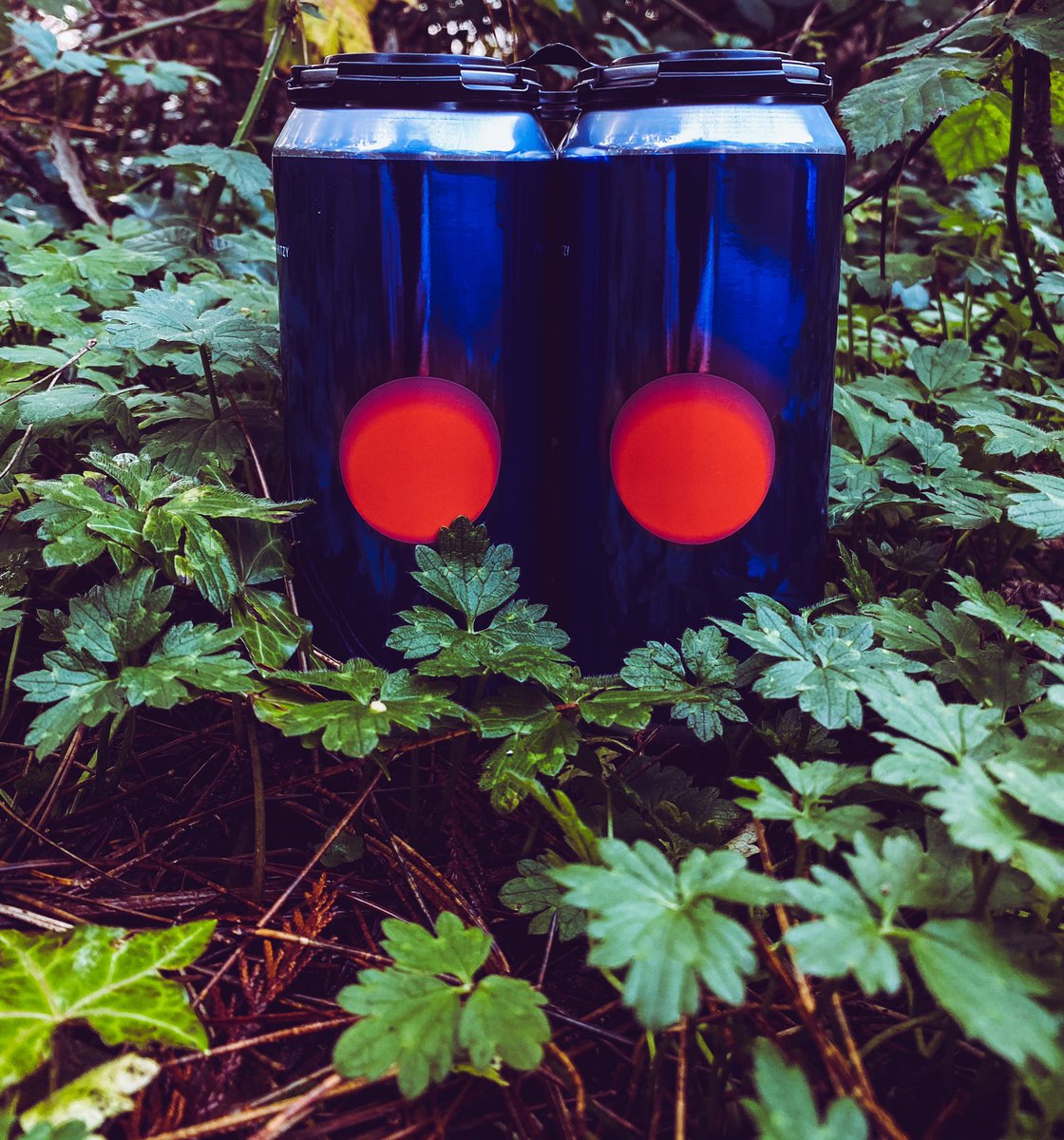 New @33acresbrewing hazy spritzy ale with flavours of gooseberry and white grape. Available in 4pk at our Fraser location.