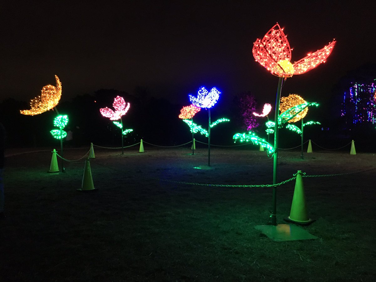 Jessicarjot7's tweet photo. Namjooning with my luvie and beautiful light displays! 

#TellJoon https://t.co/L2y8nANtF4