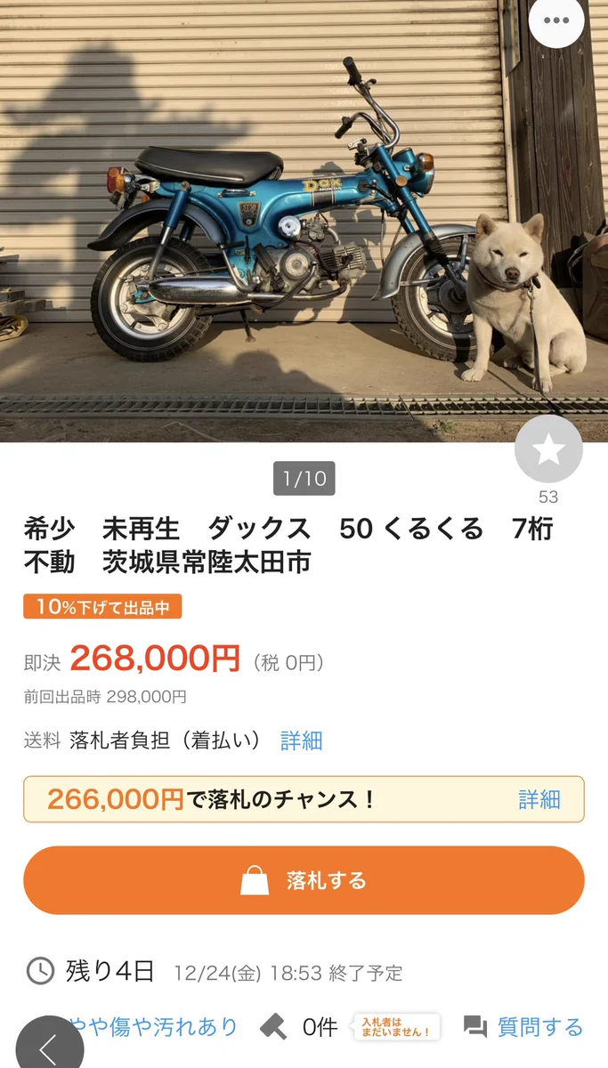スーパーカブが欲しくて検索したら？犬の可愛さに癒されるwww