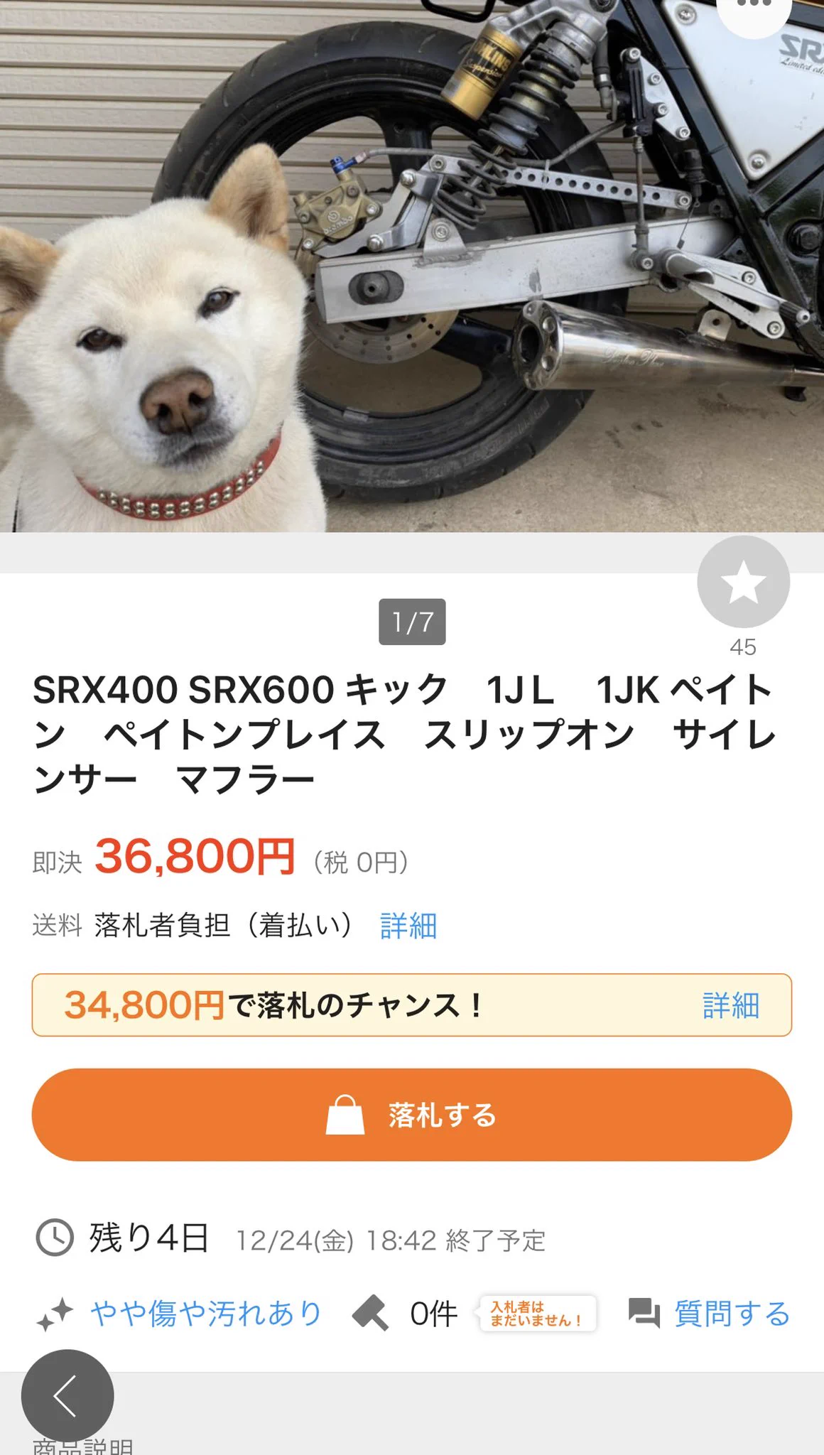 スーパーカブが欲しくて検索したら？犬の可愛さに癒されるwww