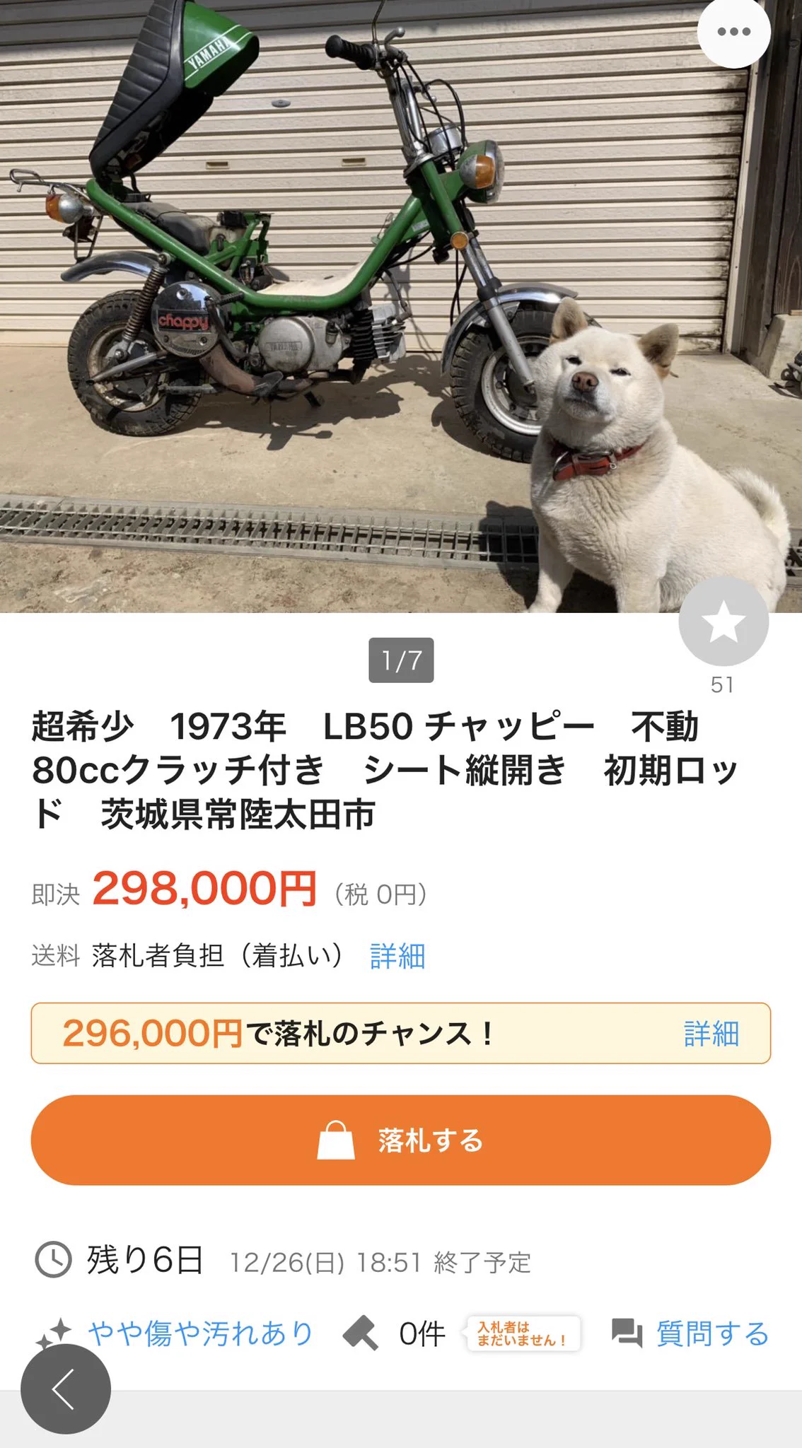 スーパーカブが欲しくて検索したら？犬の可愛さに癒されるwww
