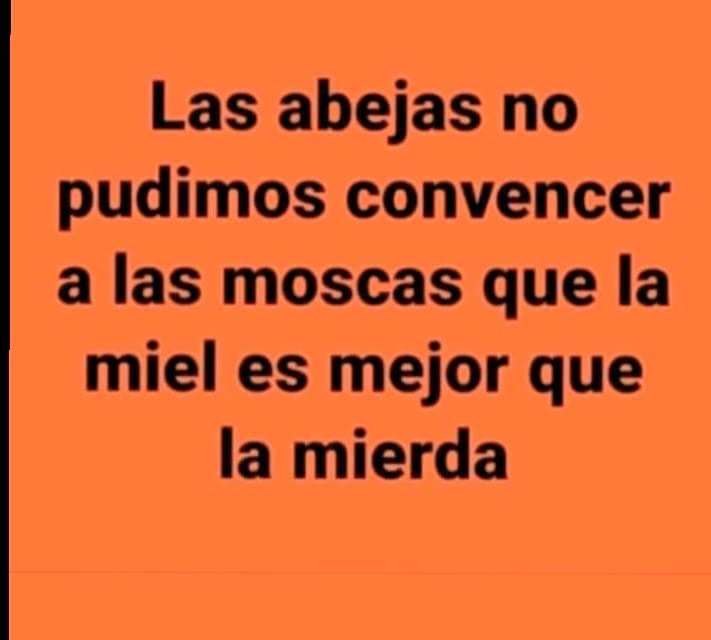 Cote20's tweet photo. #BoricNoEsMiPresidente 

@T_Real_Patriots https://t.co/ntNdhIeFg5