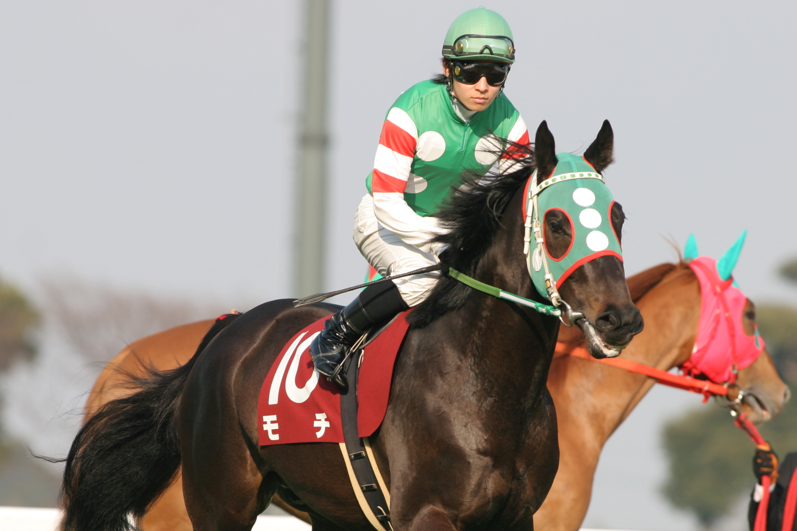 Jra Van公式 今日 1月11日は 鏡開き です 鏡開きといえばお餅ですが 07年の若駒ステークスを制し皐月賞にも出走した モチ という面白い名前の競走馬をご存知ですか 先行したレースで逃げ切りを図ると モチが粘っている という思わずクスッとなる