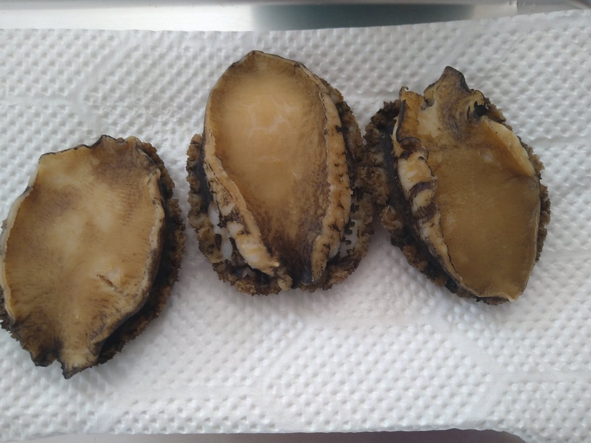 みんなの アワビ 口コミ 評判 2ページ目 食べたいランチ 夜ごはんがきっと見つかる ナウティスイーツ