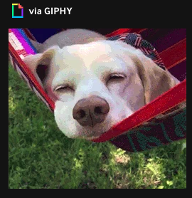 TranslationTalk tweet media