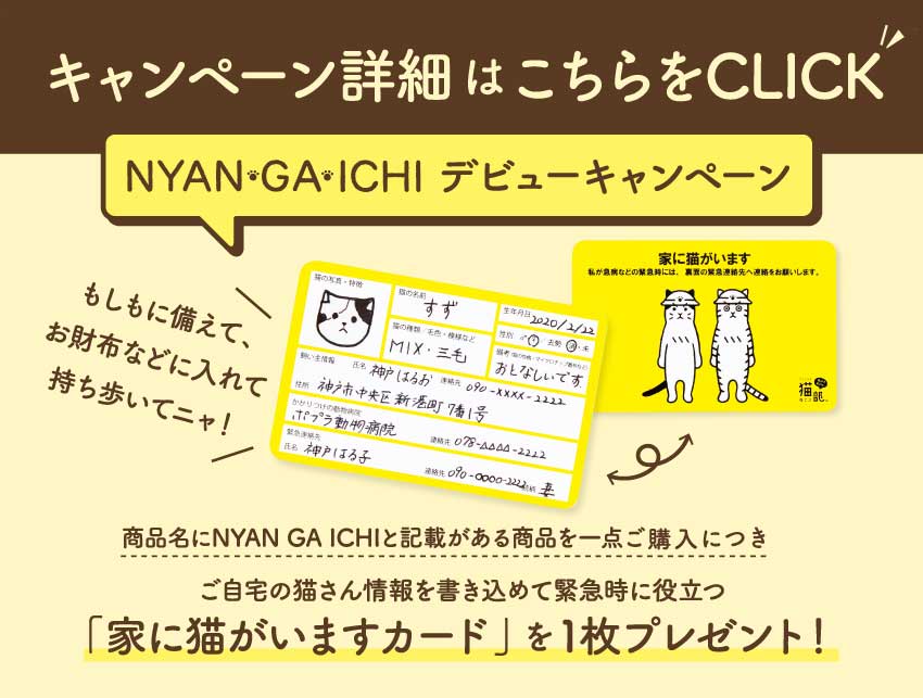 🎁キャンペーン中🎁
猫と一緒に万が一を考える防災グッズブランド「NYAN GA ICHI(にゃんがいち)」のデビューを記念して、「家に猫がいますカード」のプレゼントキャンペーンを猫部で実施中!
いざという時に役立つカードをゲットするニャ👍✨
詳細はこちらからチェック⇒https://t.co/Rp8RPgfjAV