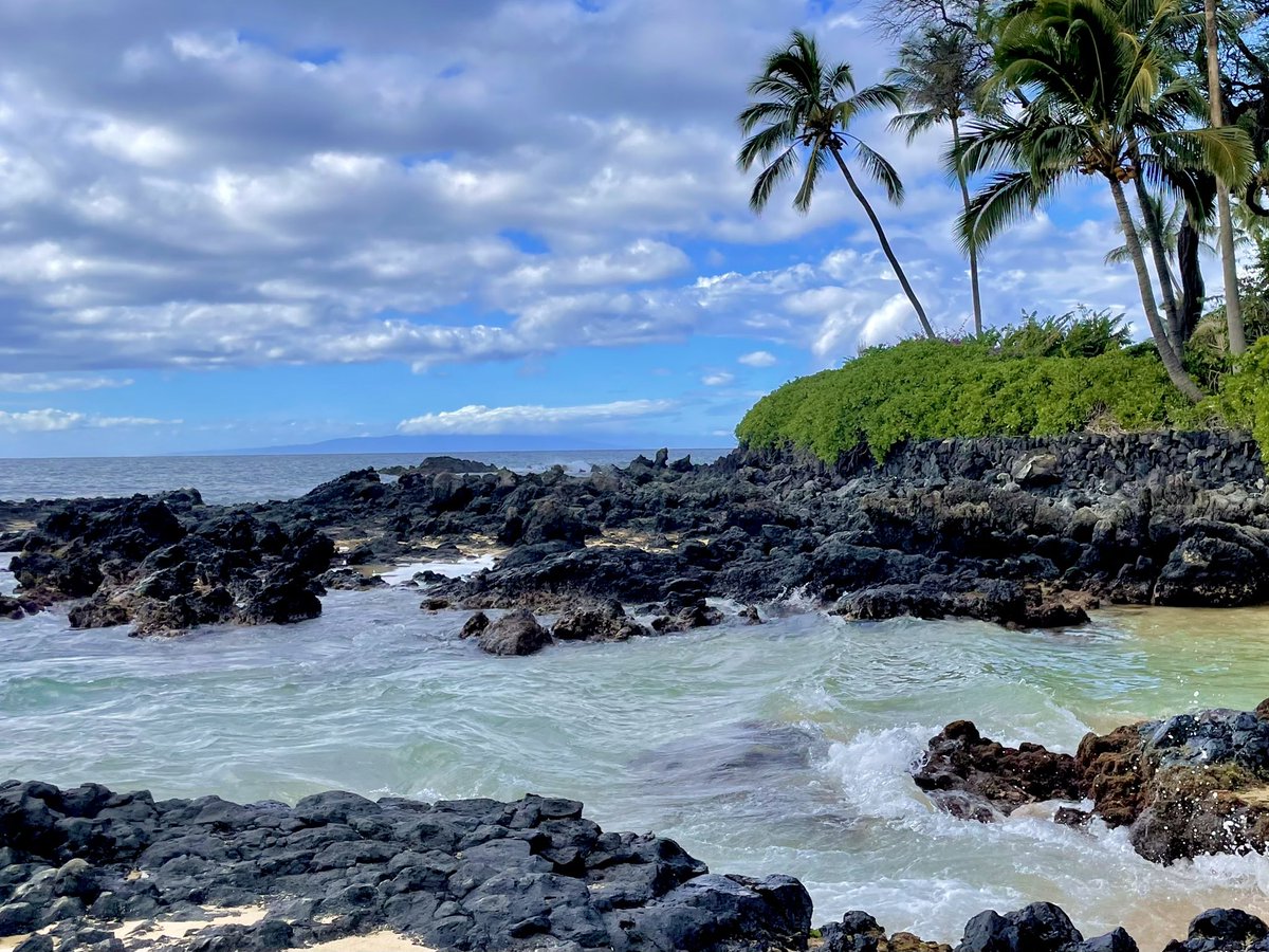 susantran's tweet photo. #353/365 Grateful for adventure day in #Maui. Kayaking and saw a turtle. Peeked in on #AhihiCove. Checked out the #LavaFields. And got a wee bit of #MaysTrumpet. #Gratitude2021 https://t.co/2n31mk8ATN