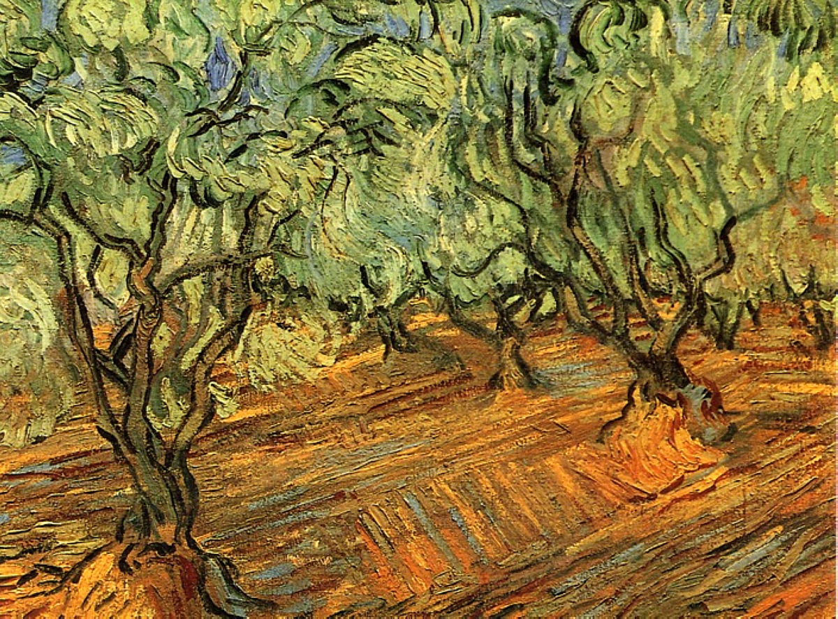 Olive Grove - Bright Blue Sky, 1889 wikiart.org/en/vincent-van… #vangogh #vincentvangogh
