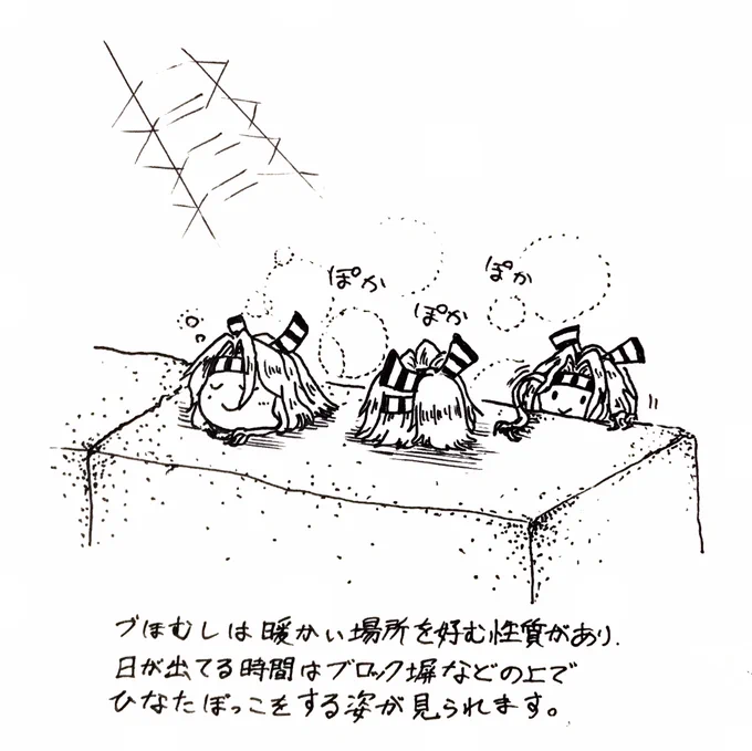 づほむしの生態レポート13  #づほむし 