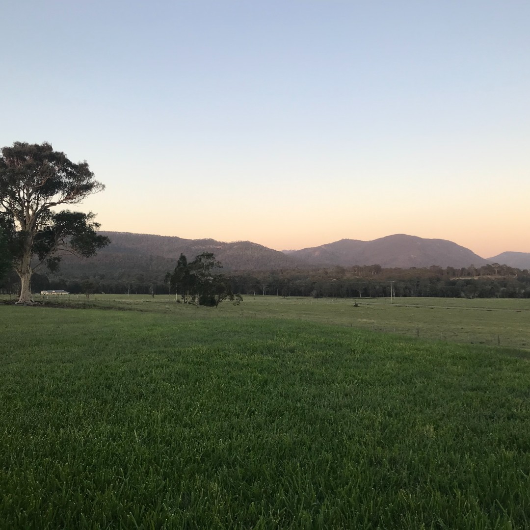gems_events's tweet photo. GEMS 2021 Annual Retreat done right 🎄🎁 Great people and great food, with some great business planning outcomes. We threw in a Christmas lunch in the country for good measure!

#huntervalley #eventprofs #foraging #gemsretreat2021 https://t.co/ZvTBFMXt1P