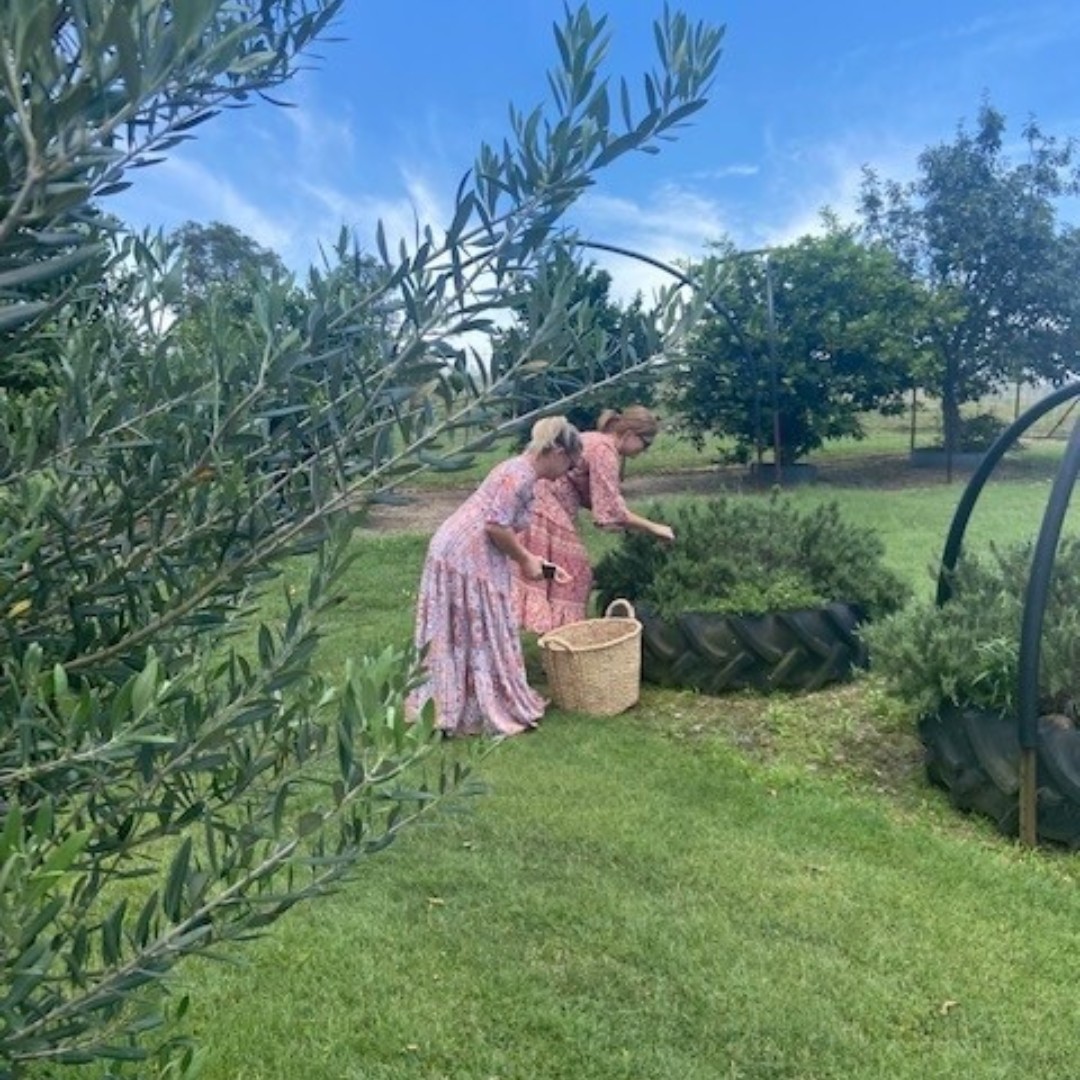 GEMS 2021 Annual Retreat done right 🎄🎁 Great people and great food, with some great business planning outcomes. We threw in a Christmas lunch in the country for good measure!

#huntervalley #eventprofs #foraging #gemsretreat2021