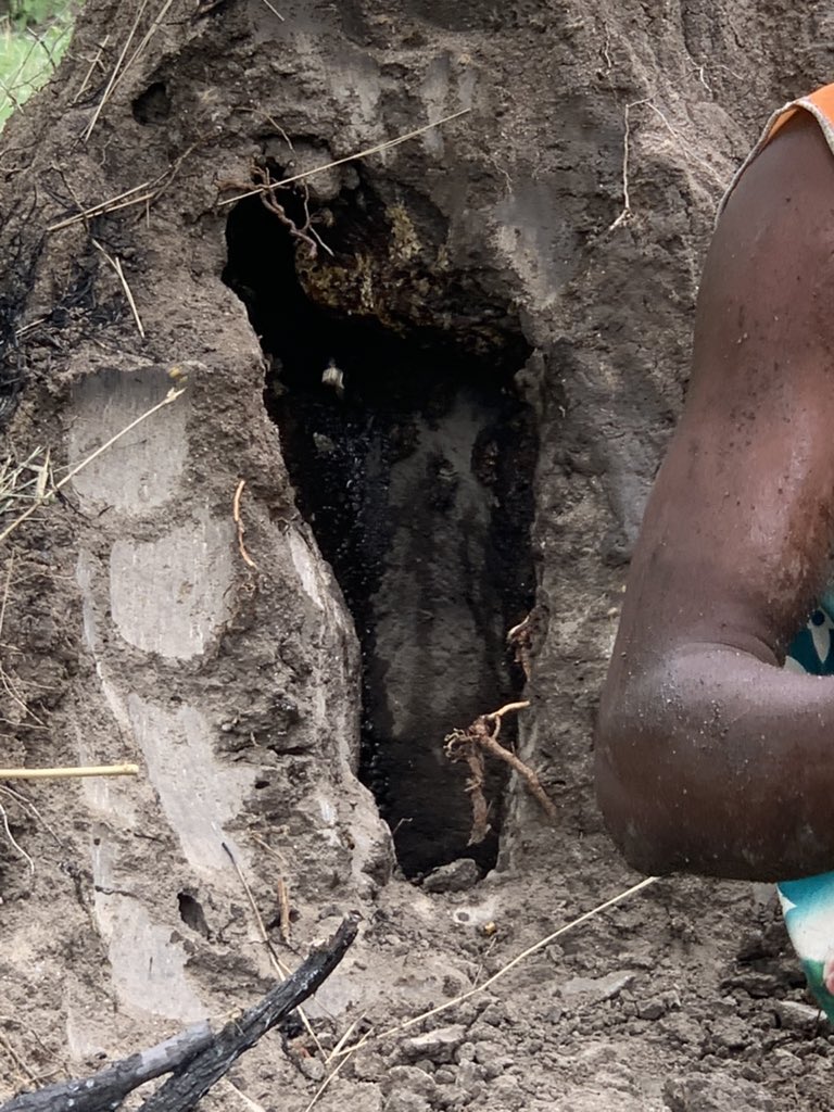 Napenyane tweet media