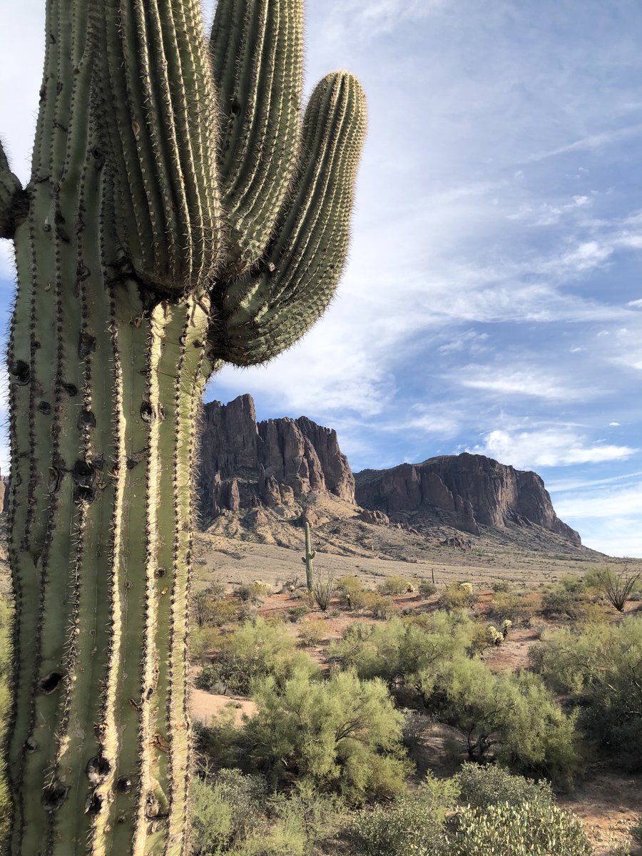 IreneGG2310's tweet photo. Montañas Superstición , AZ. https://t.co/oy0nfpqyhQ