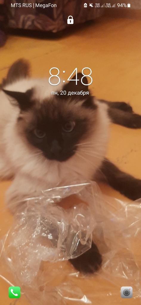 tinitinsis's tweet photo. @amorallnaya он злой на самом деле... https://t.co/DJfidps6IA