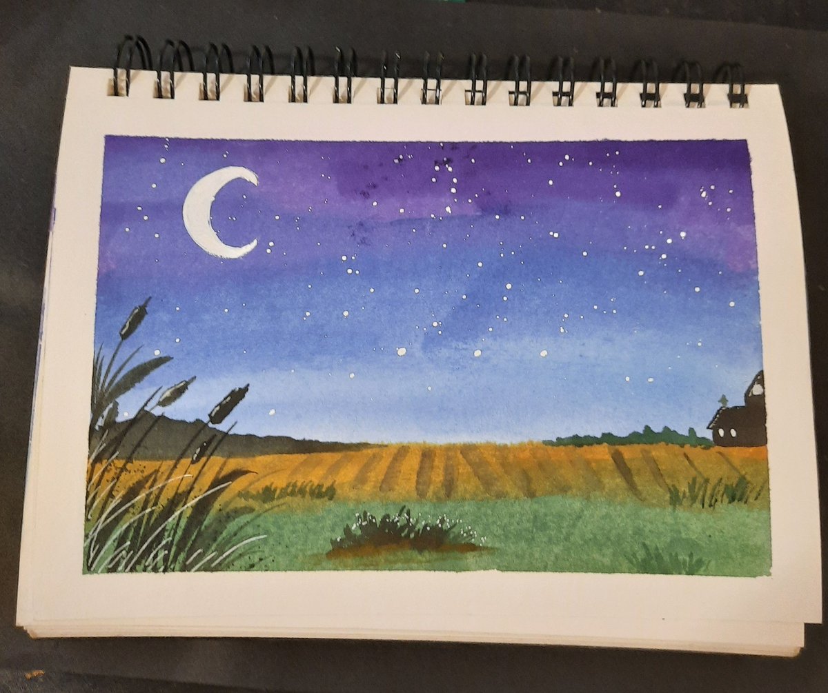 It's almost 8 pm and I haven't painted yet. Having a very lazy Sunday. It's a short week at work and I have no holiday plans, just gonna enjoy the day off and paint. You guys up to anything?
#watercolor #landscape #twilight