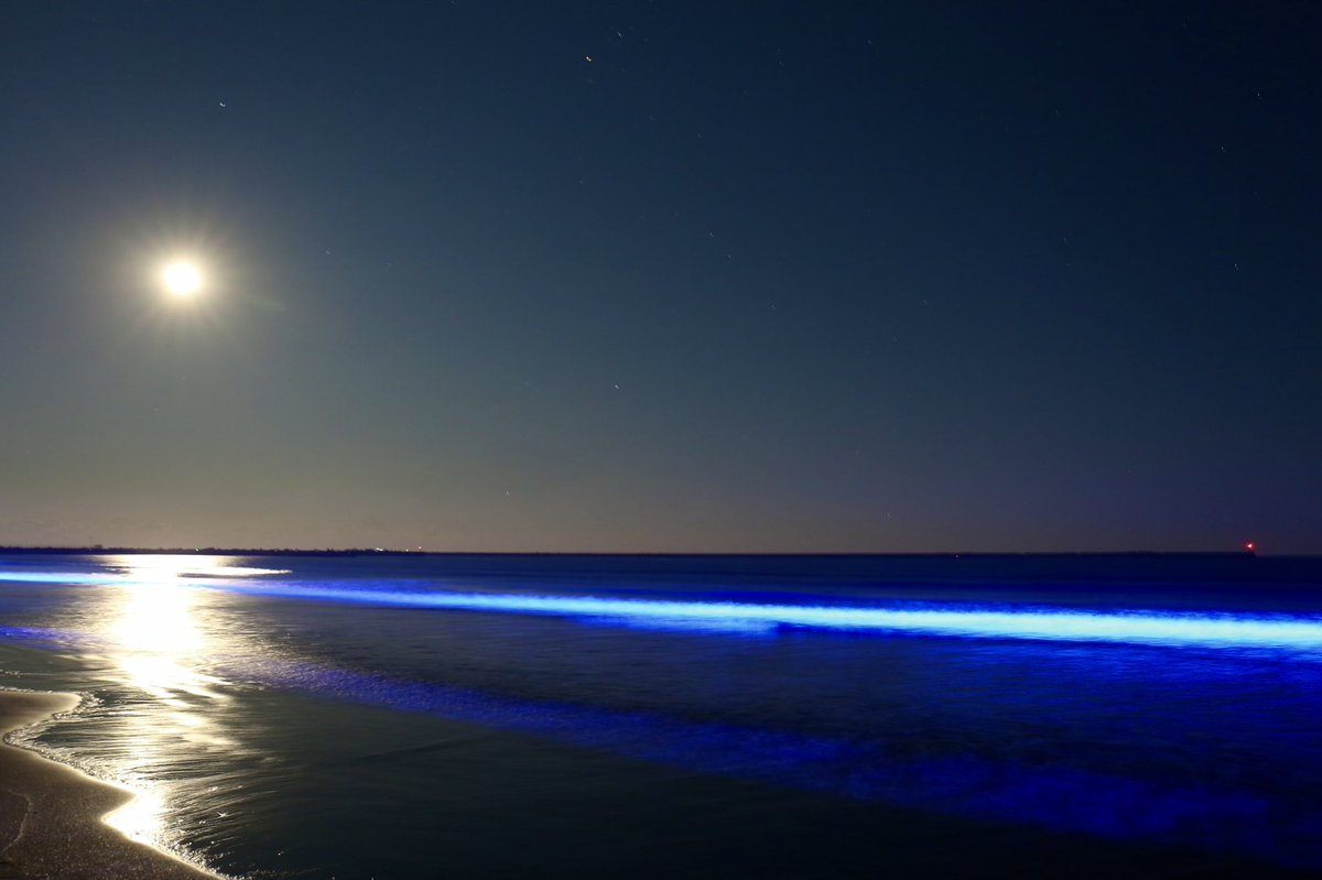 same_Z33_ZRX_'s tweet image. #nightwave #海のイルミネーション in大洗
2021.12.19

幻想的でとても綺麗でした。