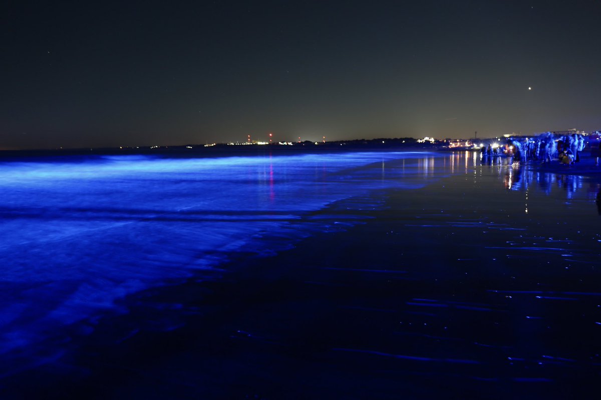 same_Z33_ZRX_'s tweet image. #nightwave #海のイルミネーション in大洗
2021.12.19

幻想的でとても綺麗でした。