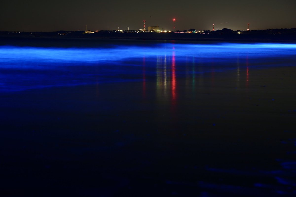 same_Z33_ZRX_'s tweet image. #nightwave #海のイルミネーション in大洗
2021.12.19

幻想的でとても綺麗でした。