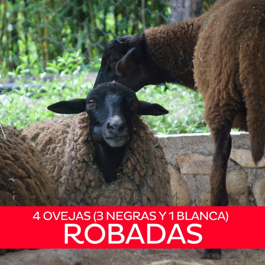 #ULTIMAHORA aún NO aparecen los #AnimalesDeBiocontacto que fueron sustraídos del parque el jueves 16 de diciembre. 

¡Los queremos de vuelta a Biocontacto YA!