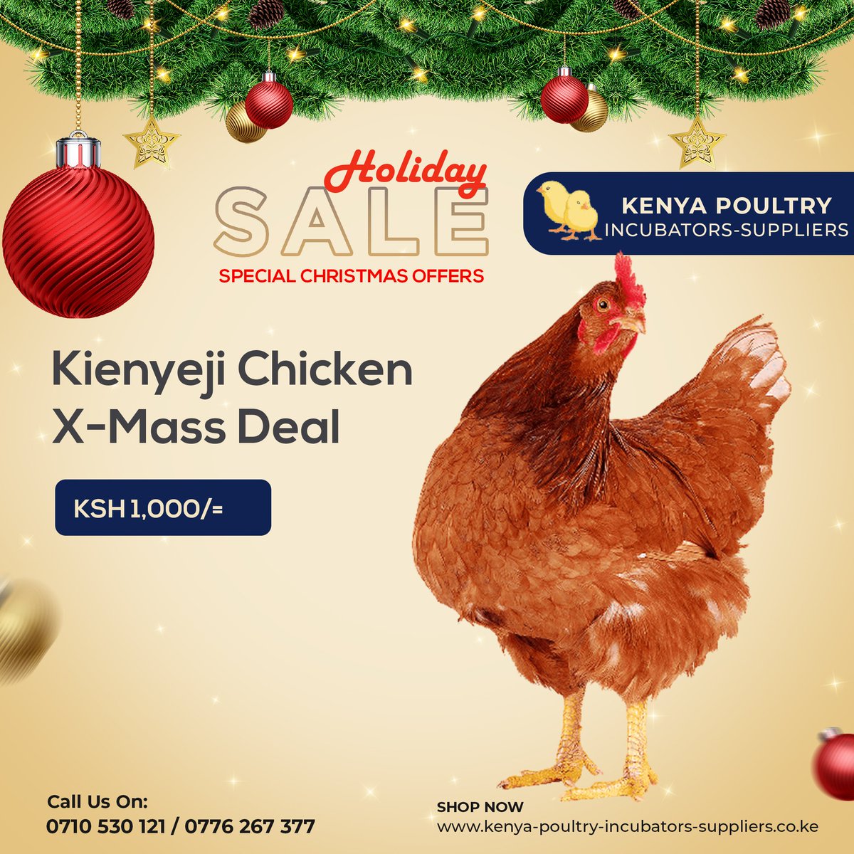 X-MASS DEALS
Kenya Poultry Incubators Suppliers 
Call us on 0710 530 121
Dealers In: 
1. Eggs Incubators
2. Cages &amp; Housing and other poultry items
Joho kabogo Miguna #churchillshow kitengela