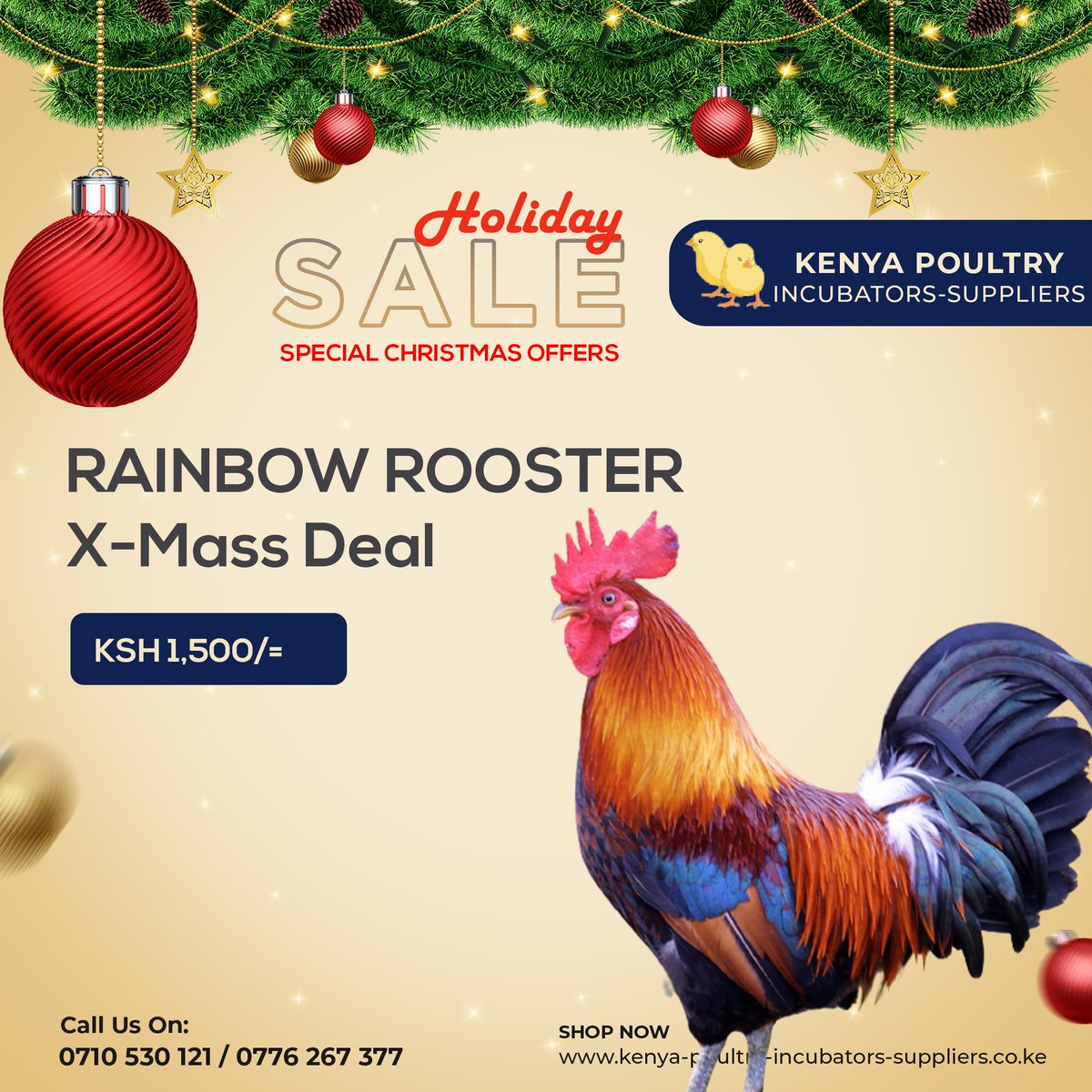 X-MASS DEALS
Kenya Poultry Incubators Suppliers 
Call us on 0710 530 121
Dealers In: 
1. Eggs Incubators
2. Cages &amp; Housing and other poultry items
Joho kabogo Miguna #churchillshow kitengela