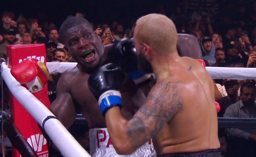 Gorebox 2021. Gore box v. Gore box v. Gorebox animosity. Gorebox animosity иконка.