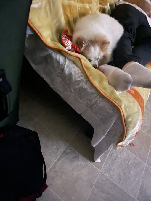 Uncle Jason &amp; Chai knocked out @DFFjwaltner while I finish crying my eyeballs out watching this Christmas<a class="tags" target="_blank" title="On Twitter" href="/?out=eyJ0eXAiOiJKV1QiLCJhbGciOiJIUzUxMiJ9.eyJpYXQiOjE3MjE3MTU0MzIsImlzcyI6InR3cG9ybnN0YXJzLmNvbSIsIm5iZiI6MTcyMTcxNTQzMiwiZXhwIjoxNzUzMjUxNDMyLCJyZWRpcmVjdF91cmwiOiJodHRwczovL3R3aXR0ZXIuY29tL0RGRmp3YWx0bmVyIn0.pP7O_XuiE7gDoIXH4eAC-P3ZvilwgKsjnTyMm5FFdP4Kli8K9a6dsw8sFTLiosuU1kzNSORHxzCWPwLL4tmXvg">@DFFjwaltner</a><a href="/tag/ntfs"class="tags"><span>#ntfs</span></a>