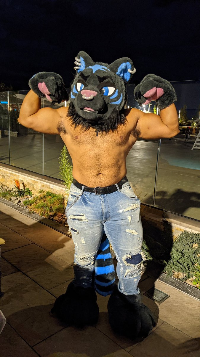 Buffbandit - Best photos on dibujosparaimprimir.net