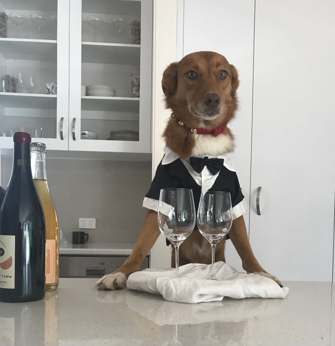 Daniel Gschwind tweet media