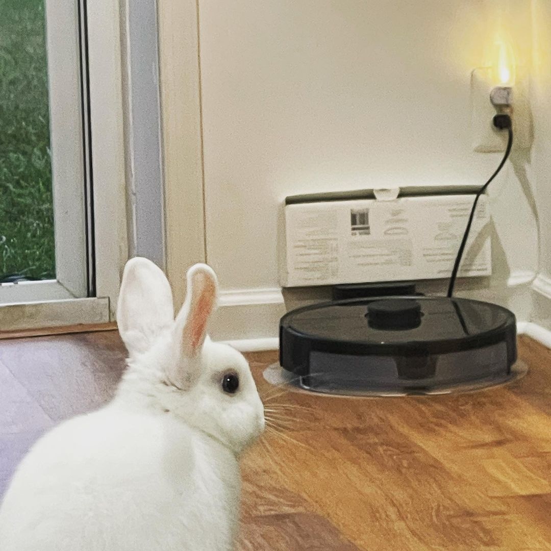 roborockaus's tweet image. @cosmoandcocoa waiting for Roborock S5 Max to be fully charged so it can do what it does best: clean their everyday clutter.

Roborock S5 Max seamlessly sweep and mop your floors,. 

Add this to your cart now by clicking the link in our bio. #modernliving#easylife #RoborockS5Max