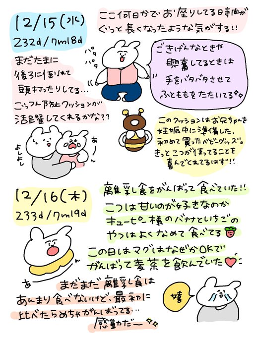 こっちゃんさまご確認用 | www.ddechuquisaca.gob.bo