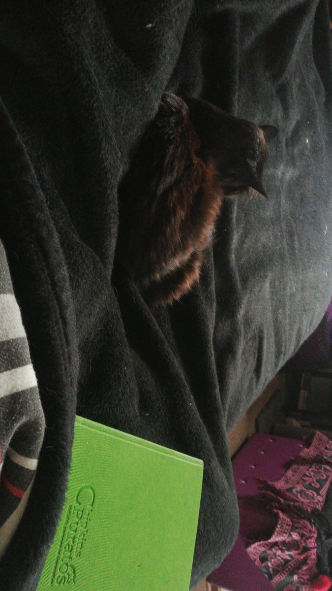 MattyMyst's tweet image. Best way to gather my thoughts before a long day of well... a long day.

linktr.ee/MystMatty

#kindnessispunk #twitchaffiliate #leagueoflegends #pierced #blackouttattoo #catdad