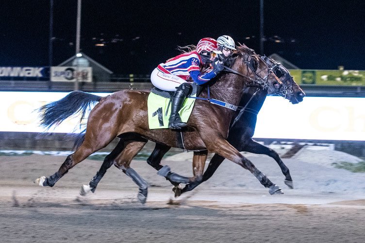 100% på Jarlsberg i går kveld. 🏆 Fyri har begynt å forstå hva dette går ut på og Federal de la Giro og <a href="/KolleHelene/">Helene Kolle</a> var en match direkte!