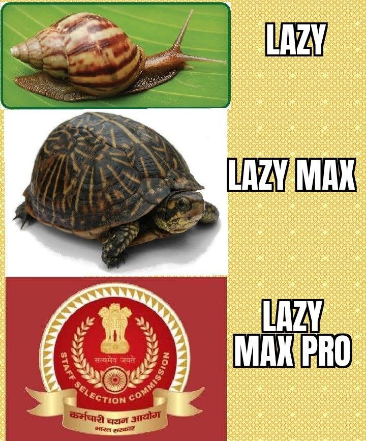 DukiyaDinesh's tweet photo. #declare_cgl19_result 

Here we have a commission (SSC) known for giving government jobs but in return it takes rest and peace out of young minds and fills them with frustration and despair. https://t.co/04RrXALtl3