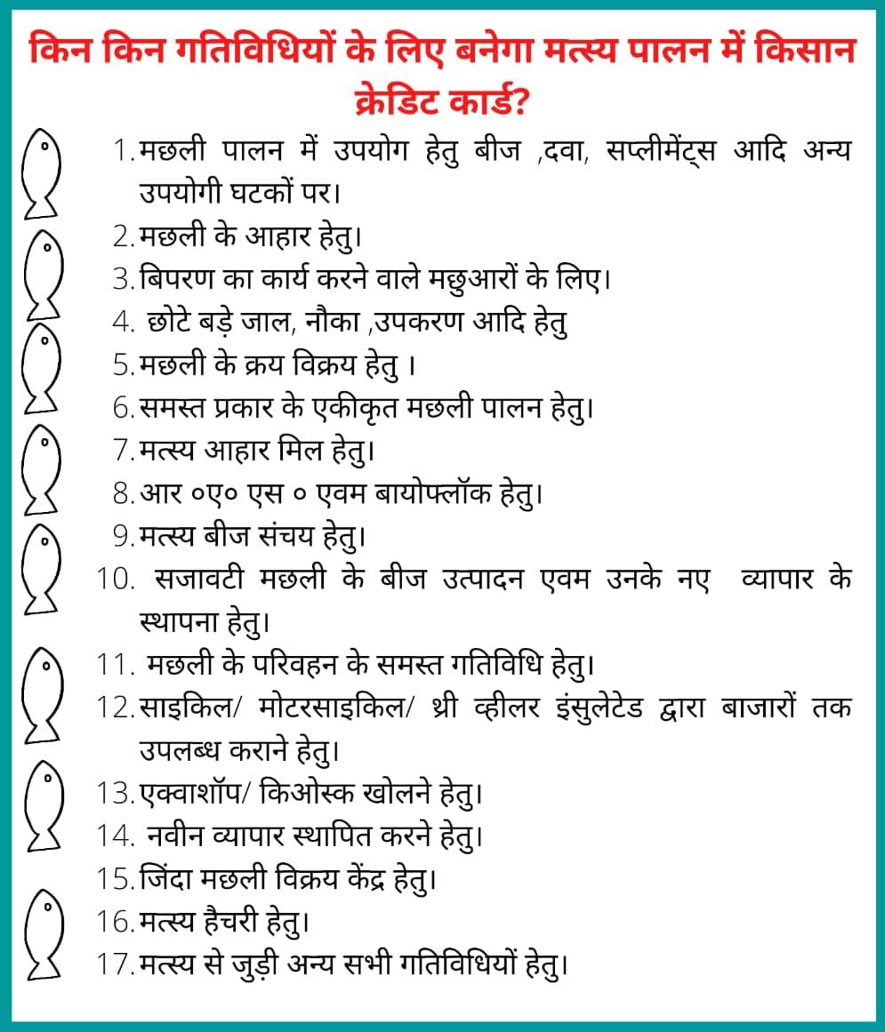 ddfcktd's tweet photo. मत्स्य पालन किसान क्रेडिट कार्ड आप मत्स्य पालन हेतु किस योजनाओं में केसीसी आवेदन कर सकते हैं निम्न जानकारियां
आप लोग ऑनलाइन आवेदन भी कर सकते हैं आवेदन करें https://t.co/OYipp2qROb https://t.co/0UrOujqRV0
