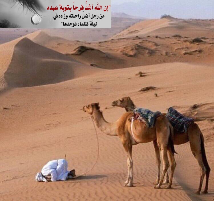 بنك البذور tweet media