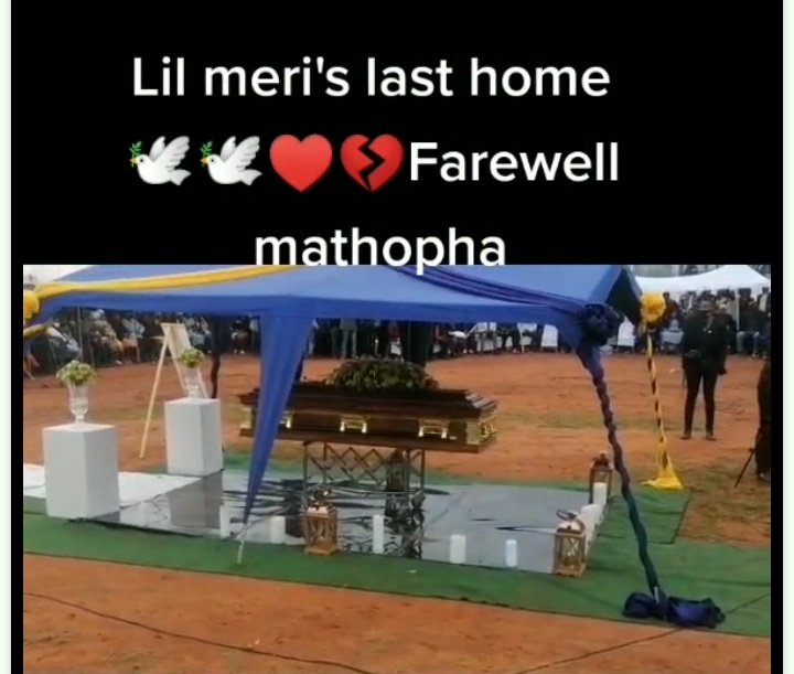 BlackboyHimself's tweet photo. Yesterday was Good night for #LilMeri😭 https://t.co/LT9EkvXAj2