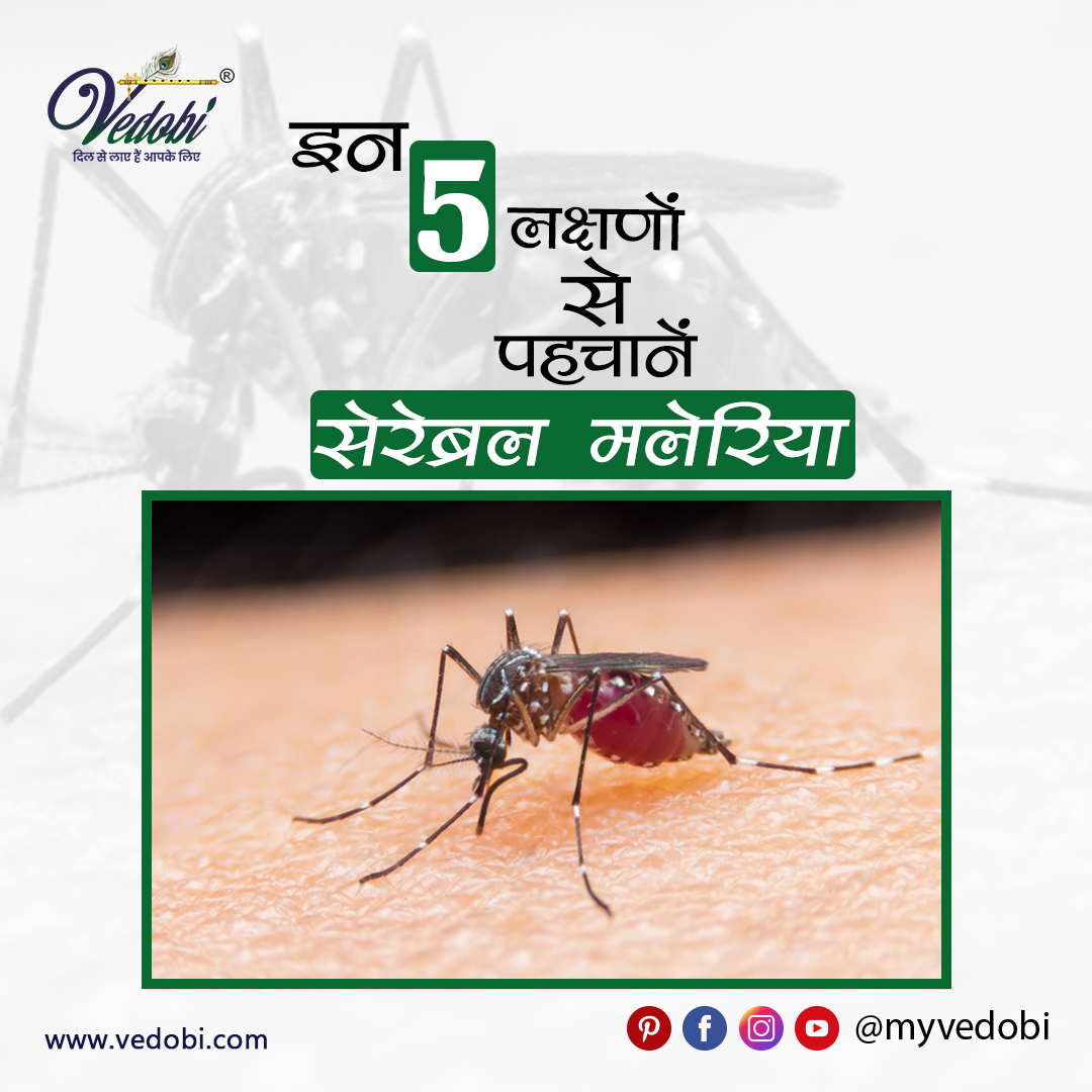 MVedobi's tweet photo. Click Here To Read More 👇
https://t.co/FIETZrS6QJ...
.
.
सेरेब्रल मलेरिया के केवल कुछ लक्षण बच्चों और वयस्कों दोनों में दिखाई देते हैं, जैसे-
बुखार।
खराब चेतना।
आवेग (Impulse) और तंत्रिका संबंधी असामान्यताएं।
कोमा (जो तीन दिनों तक चल सकता है) https://t.co/JrPHLcTHxO
