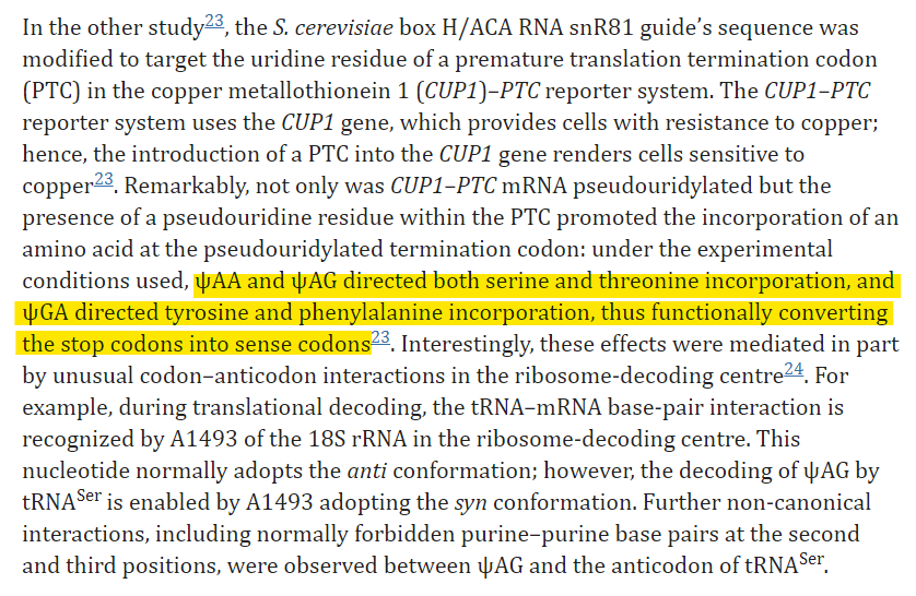 JikkyKjj's tweet photo. Oh crap! When they were coming up with this really smart idea to use #pseudouridine in a mRNA vaccine did they read this paper from 2015 that said that if they did that, the 3'UTR would be translated because the stop codons wouldn't work?

THIS IS WHY YOU DO CLINICAL TRIALS https://t.co/k3YfjDPnRy