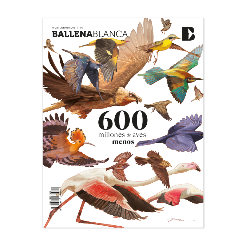 ballenablanca_'s tweet photo. Nueva portada de @ballenablanca_ : 600 millones de aves menos 
https://t.co/GGHUCXpZev https://t.co/vXtSMHkVGr