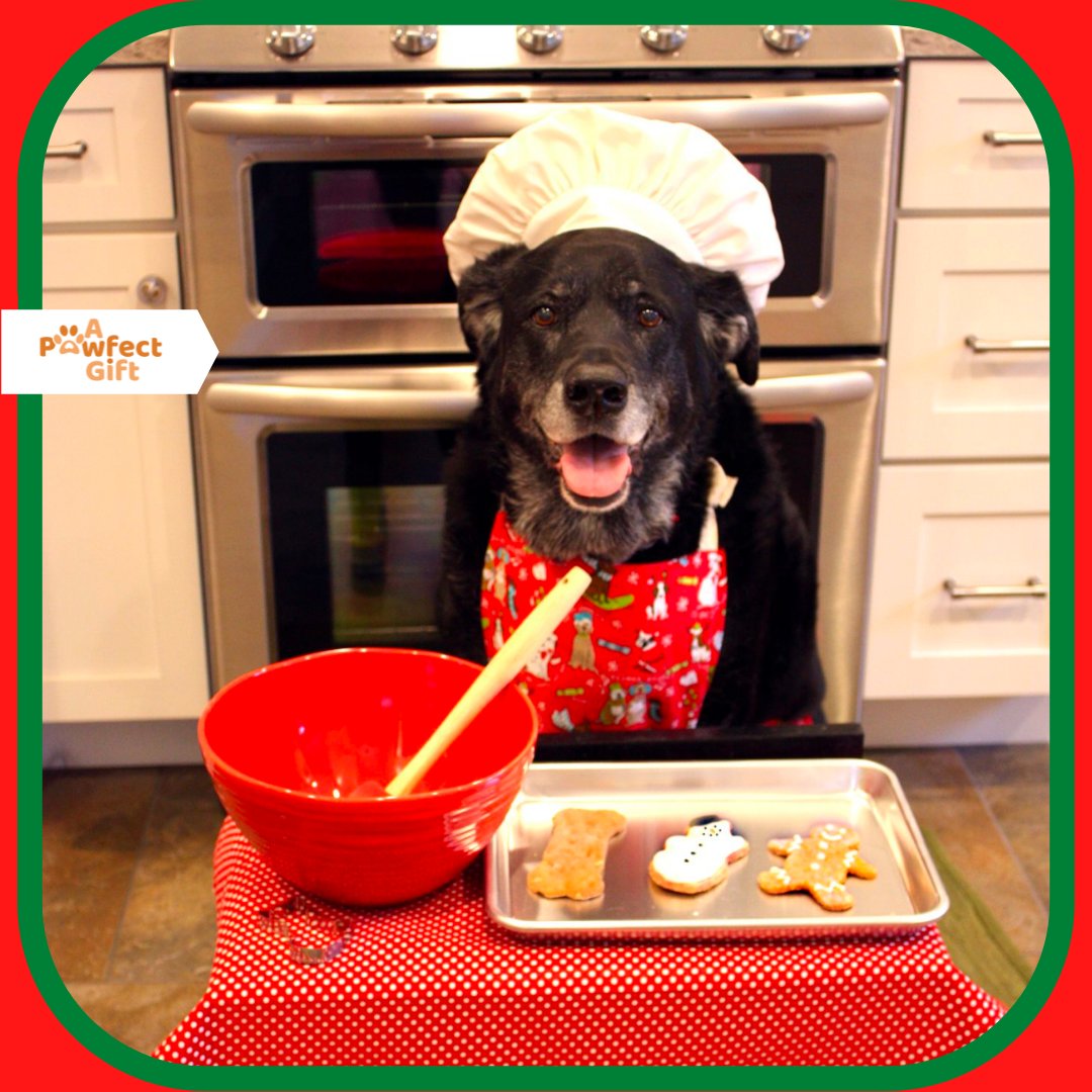 apawfectgift's tweet photo. Who's started making Christmas cookies?! 🍪

Only five days now until the big day! 😍

#puppymeme #dogmemes #doggomemes  #puppymemes #dogmemesdaily #dogsmemes  #thoughtsofdog #doghumor #funnydog #puppy #dogs #dogstagram #doglover #dogoftheday #pets #christmasmeme #christmasdog https://t.co/XgIPyYyjaE