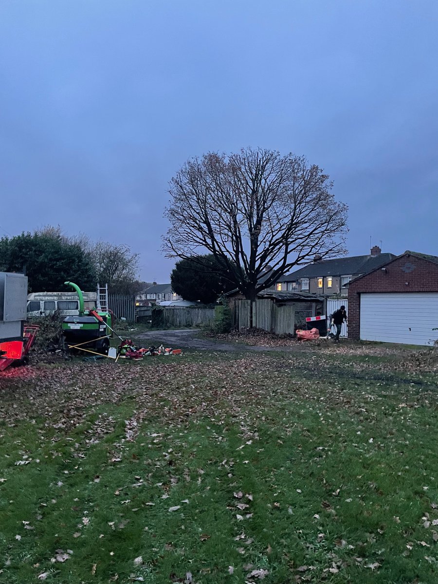 What a difference a day makes!
Light reduction to this Oak tree with a crown lift/clean to rebalance its shape in #Coventrycity
See more at arb-aid.co.uk
#treesurgeon #arborist #landscape #Coventry #Warwickshire #treesurgery