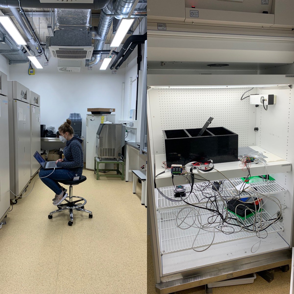 VerenaIbl's tweet photo. X-Mas is coming but still enough time to start three parallel germination assays of #barley in our #droot #BIBLOX device! Thanks Madeleine for your effort to pimp up our system! https://t.co/2g0TkLDa63