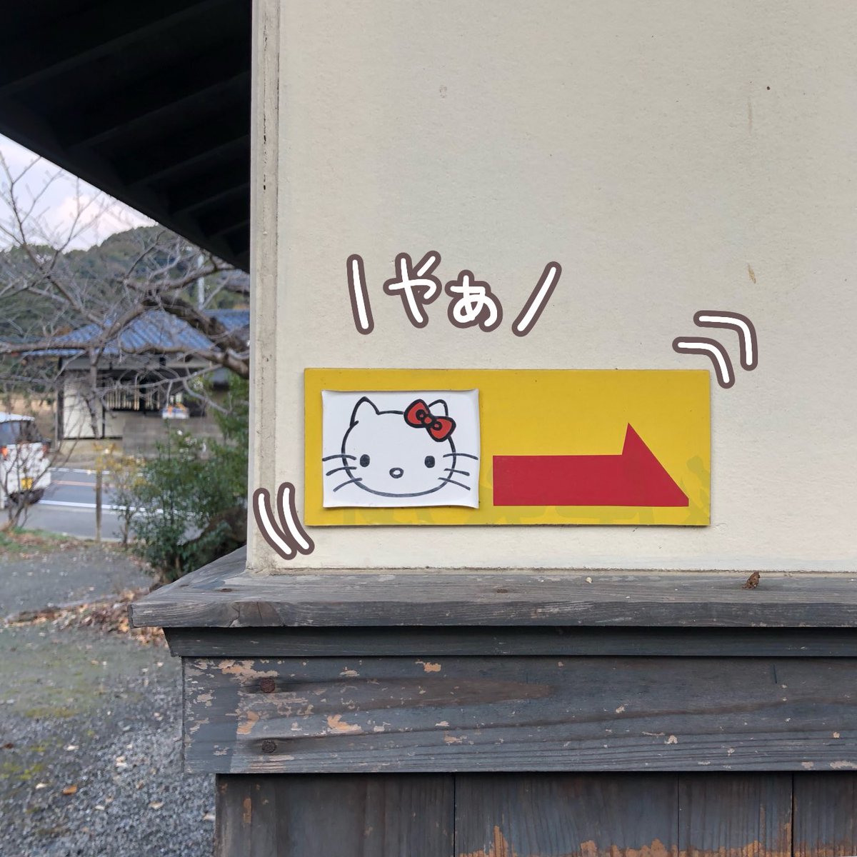 takeokd2021's tweet photo. #武雄かくれ伝説 
12/20は武雄市朝日町の淀姫神社にある #トイレの白猫 のﾐｽﾃﾘｰについてご紹介します🐈

この白猫、#坂田空 によれば何かの御札なのだそうです…！

この御���、どんな効力を持っていると思いますか？
閃いたことをWebサイトにｶｷｺしてみましょう😉！
↓
https://t.co/1uVd79vNxZ https://t.co/fJ82mQLlZ0